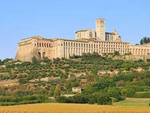 9a assisi