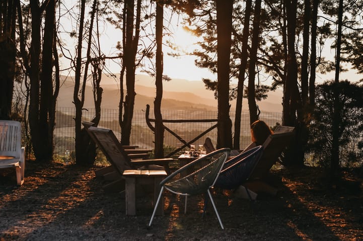 Ligstoelen tussen de bomen bij zonsondergang