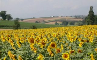 Monte Santa Maria Tiberina (2-5 aug jaarlijks dorpsfeest al Monte, met muziek tot laat)